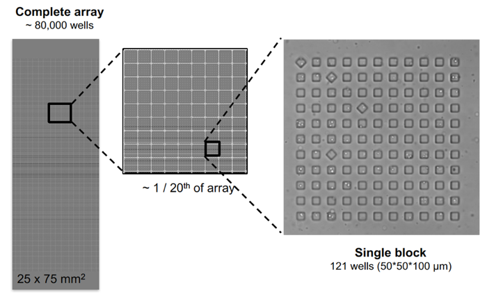 Nanowell array